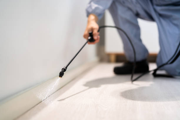 Professional exterminator conducting IPM assessment in Pleasanton